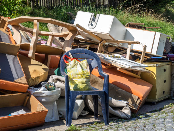 Best Commercial Cleanout Services  in South Hill, VA
